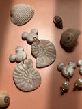 Mouse Nautilus